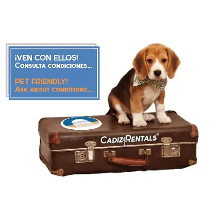 Cruise Adapted By Cadiz4rentals Appartamento *